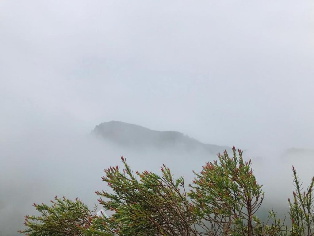 Ella Nature Rock Luaran gambar